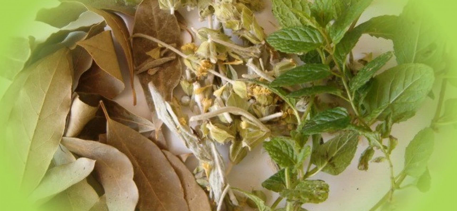 Τέσσερα «αρχαία» βότανα που καταπολεμούν τις πεπτικές διαταραχές